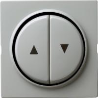 Gira 0294 42 Накладка и клавиша, 2-местн., с символом стрелки