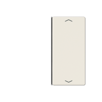 Jung A 402 TSAP Накладка, 2-ная с символами «стрелки»