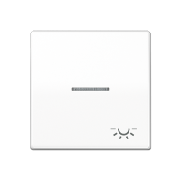 Jung ABAS 591 KO5L WW Клавиша с символом «освещение» и окошком