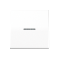 Jung AS 591 KO5BFS WW Kлавиша с подсветкой и с винтовым креплением