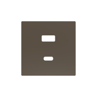 Zennio ZS55C2UCAM ZS55, Накладка для двойного зарядного устройства USB C+A 55x55 мм, Серебристый