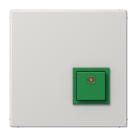 Jung NRS LS 0834 AT LG Кнопка сброса