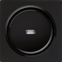 Gira 0290 47 Накладка и клавиша с контрольным окошком