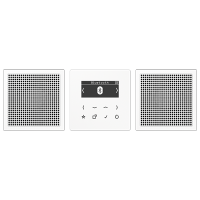 Jung DAB LS2 BT WW Смарт радио DAB+ Bluetooth, стерео