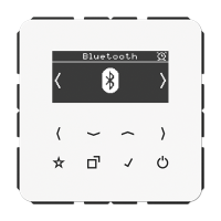 Jung DAB CD BT WW Смарт радио DAB+ Bluetooth