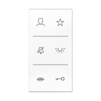 Jung SI V6 CD DC WW Накладка с символами видео