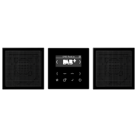 Jung DAB LS2 SW Смарт радио DAB+, стерео