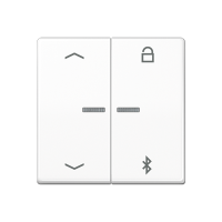 Jung AS 1751 PBT WW Таймер универсальный Bluetooth «стрелки»