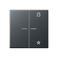 Jung A 1701 BF ANM Центральная плата универсальная