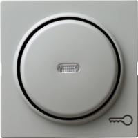 Gira 028742 Накладка с символом и клавиша с контрольным окошкомДверь