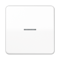 Jung CD 101 KO5 WW Клавиша с окошком