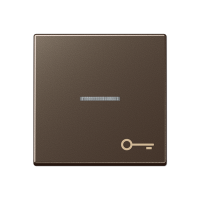 Jung A 590 KO5 T MO Kлавиша с символом «ключ» и окошком