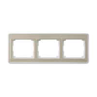 Jung SL 5830 GB Рамка из прозрачного акрилового стекла, цветная подложка