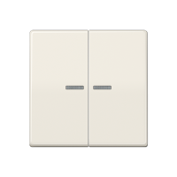 Jung ABAS 591-5 KO5 Клавиша с окошком