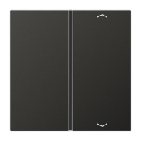 Jung AL 2401 TSAP AN Накладка, 1-ная с символами «стрелки»