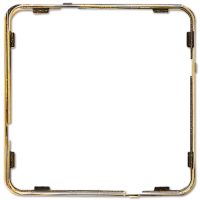 Jung CDP 81 GGO Внутренняя цветная рамка