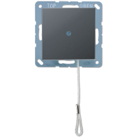 Jung A 506 BF NUZ ANM Выключатель со шнурком (универсальный) 10 A / 250 B ~