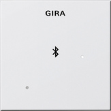 Gira 2288 03 Глухая крышка для вставки док-станции