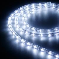 Arlight 026671 Образец Дюралайт ARD-REG-FLASH Cool (220V, 36 LED/m, 2m) (ARDCL, Закрытый)