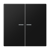 Jung LS 10921 ST RF SWM KNX RF кнопка, 2 группы, Цвет: Черный, оттенок: Матовый графит