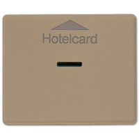 Jung SL 590 CARD GB Накладка карточного выключателя (без механизма)