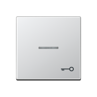 Jung A 590 KO5 T AL Kлавиша с символом «ключ» и окошком