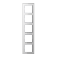 Jung AC 585 GL WW Стеклянная рамка