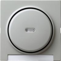 Gira 0670 42 Накладка с полем для надписи и клавишей с контрольным окошком