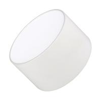 Arlight 022224 Светильник SP-RONDO-120A-12W Day White (Arlight, IP40 Металл, 3 года)