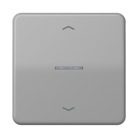 Jung CD 101 KO5P GR Клавиша с окошком и с символами «стрелки»