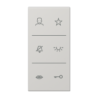 Jung SI V6 LS DC LG Накладка с символами видео