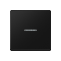 Jung A 101 KO5 BF SWM Клавиша с окошком