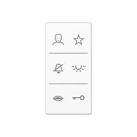 Jung SI V6 A DC WW Накладка с символами видео