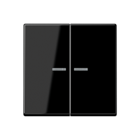 Jung A 10921 ST RF SW KNX RF кнопка, 2 группы, Цвет: Черный, оттенок: Без оттенка