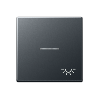 Jung A 590 BFKO5 L ANM Клавиша с символом «освещение» и окошком