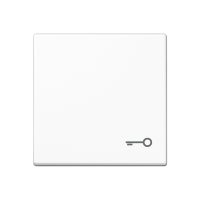 Jung A 590 T WW Клавиша с символом «ключ»