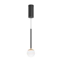 Arlight 036507 Светильник SP-BEADS-HANG-T-R100-8W Day4000 (BK-GD, 180 deg, 230V) (Arlight, IP20 Металл, 5 лет)
