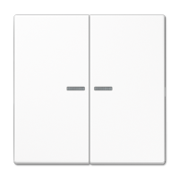 Jung LS 10921 ST RF WW KNX RF кнопка, 2 группы, Цвет: Белый, оттенок: Без оттенка