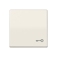 Jung ABAS 591 T Клавиша с символом «ключ»