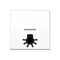 Jung AS 591 L1KO5 WW Безбарьерная средаKлавиша с рельефным символом «освещение» и окошком