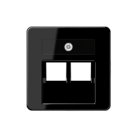 Jung 169-2 UAE SW Kрышка