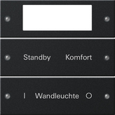 Gira 2212 005 Набор клавиш 2-местн. Plus, с возможностью нанесения надписи