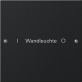 Gira 2201 005 Набор клавиш 1-местный, с возможностью нанесения надписи