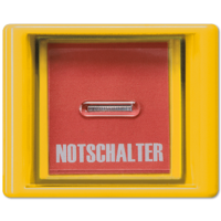 Jung AS 561 GL GE Kрышка с окошком и стеклом