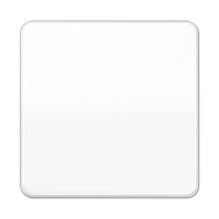 Jung CD 101 WW Kлавиша