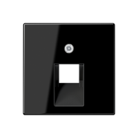 Jung A 569-1 PLUA SW Kрышка