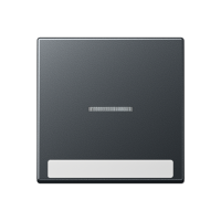 Jung A 590 BF NA KO5 ANM Клавиша с окошком и с полем для надписи 6 x 46 мм