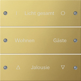 Gira 2133 608 Набор клавиш 3-местн., с возможностью нанесения надписи