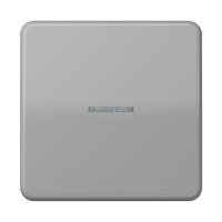 Jung CD 101 KO5 GR Клавиша с окошком