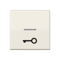 Jung AS 591 T1KO5 Безбарьерная средаKлавиша с рельефным символом «ключ» и окошком